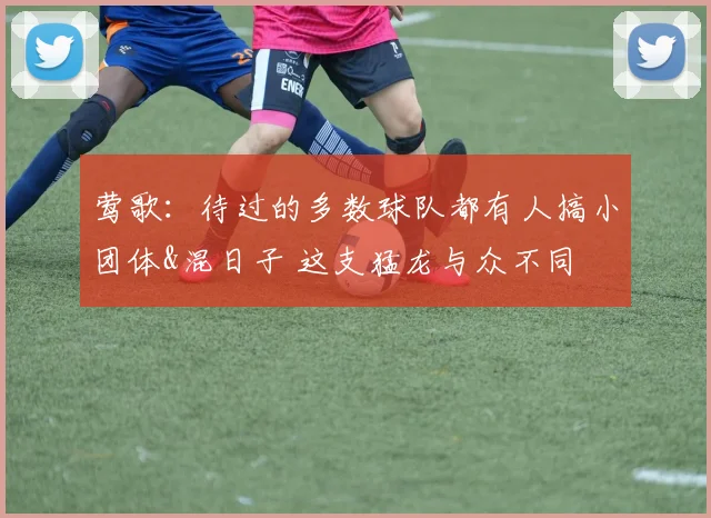 莺歌：待过的多数球队都有人搞小团体&混日子 这支猛龙与众不同