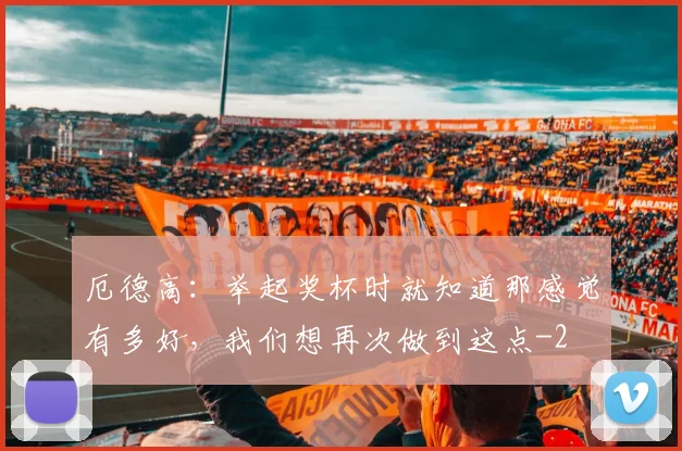 厄德高：举起奖杯时就知道那感觉有多好，我们想再次做到这点