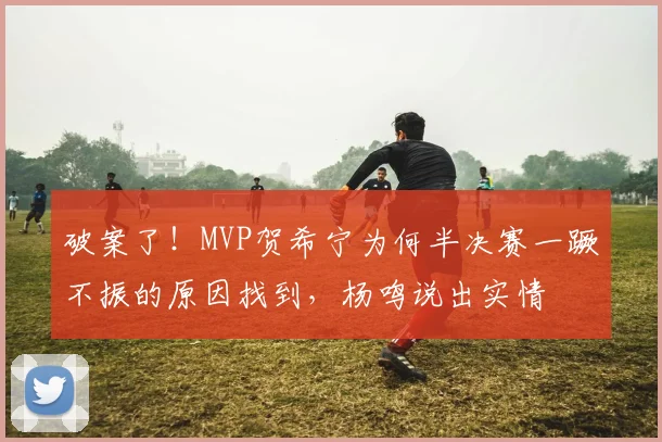破案了!MVP贺希宁为何半决赛一蹶不振的原因找到,杨鸣说出实情