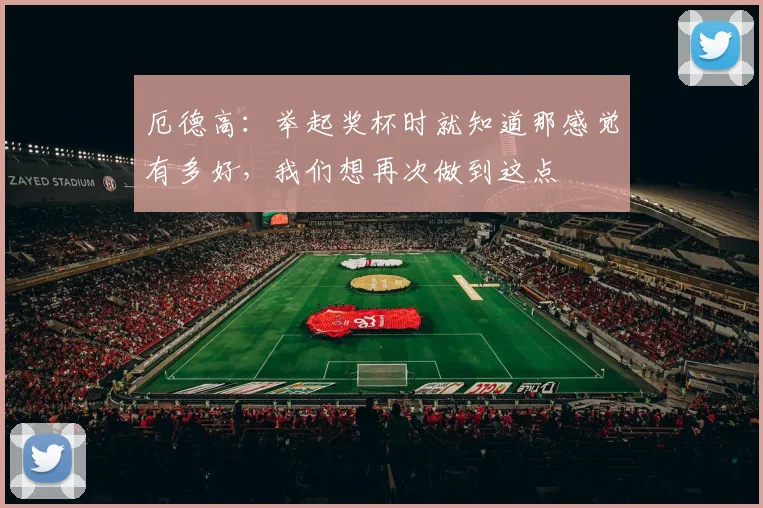 厄德高：举起奖杯时就知道那感觉有多好，我们想再次做到这点